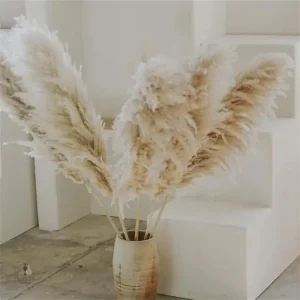 Herbe de la pampa en bouquet décoratif