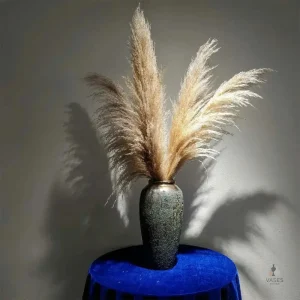 Bouquet de pampa pour une décoration intérieure