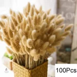 Bouquet de fleurs séchées pour occasions spéciales