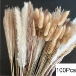 Fleurs séchées pour décoration intérieure