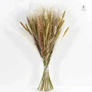 Fleurs séchées pampa dans un élégant bouquet