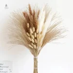 Bouquet pampa, touche esthétique et durable
