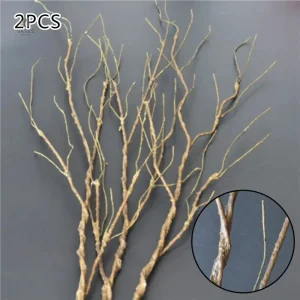 Branche séchée élégante pour décoration intérieure