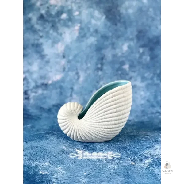 Élément de décoration coquillage pour ambiance marine