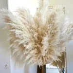 Fleur de pampa décorative en teintes naturelles