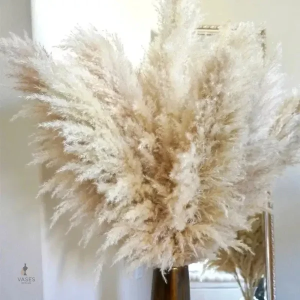 Fleur de pampa décorative en teintes naturelles