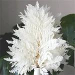 Fleur séchée blanche élégante pour décoration intérieure