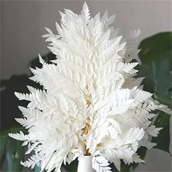 Fleur séchée blanche élégante pour décoration intérieure