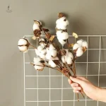 Fleurs de coton séchées dans un joli arrangement naturel