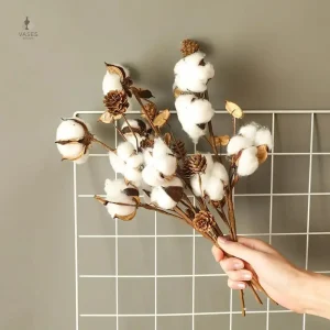Fleurs de coton séchées dans un joli arrangement naturel