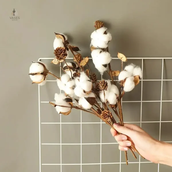 Fleurs de coton séchées dans un joli arrangement naturel