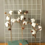 Bouquet de fleurs de coton séchées pour décoration intérieure