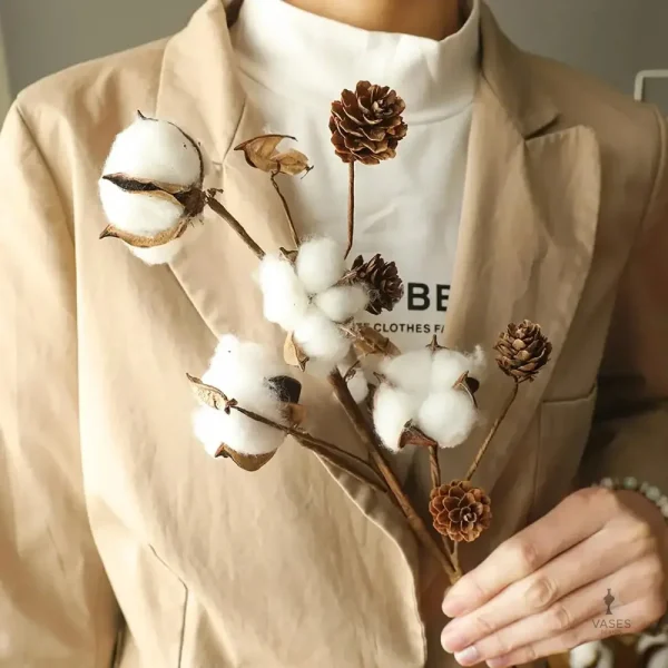 Élégantes fleurs de coton séchées pour un style bohème
