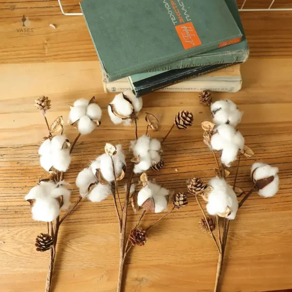 Fleurs de coton séchées, parfaites pour un cadeau original