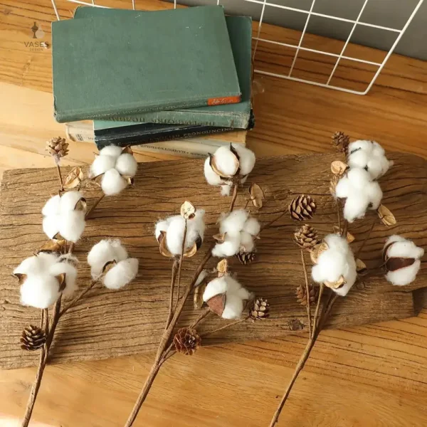 Détails des fleurs de coton séchées dans un vase décoratif