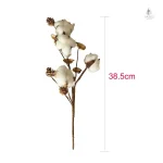 Fleurs de coton séchées, ajout naturel à votre décoration maison