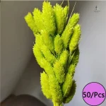 Fleurs séchées colorées pour une touche artisanale