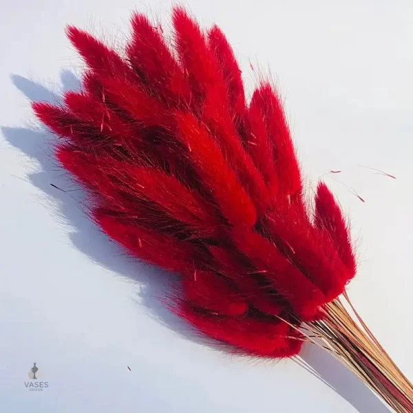 Fleurs séchées dans des tons pastel pour la maison