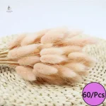 Fleurs séchées multicolores idéales pour un décor naturel