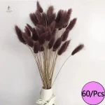 Fleurs séchées aux couleurs vives pour embellir un espace