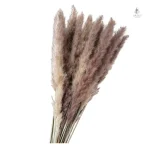 Bouquet de fleurs séchées, touche naturelle pour votre événement