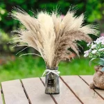 Fleurs séchées naturelles en bouquet décoratif