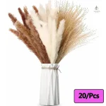 Bouquet de fleurs séchées à offrir en cadeau