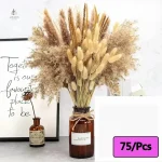 Fleurs séchées naturelles pour embellir votre espace