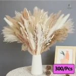 Fleurs séchées naturelles en bouquet décoratif - vue 8