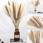 Fleurs séchées naturelles pour un style bohème