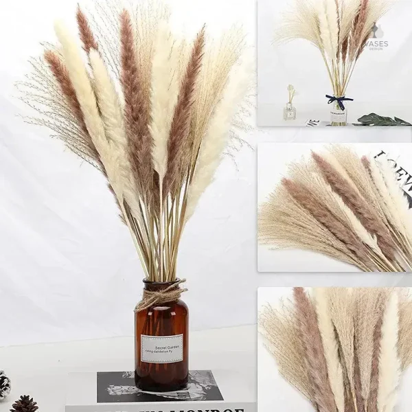 Fleurs séchées naturelles pour un style bohème