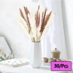 Fleurs séchées aux couleurs pastel pour la maison