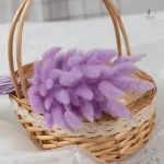 Fleurs séchées en vrac à prix réduit