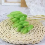 Fleurs séchées pour embellir votre maison