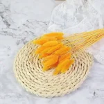 Fleurs séchées tendance à prix doux