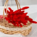 Fleurs séchées à utiliser dans l'art floral