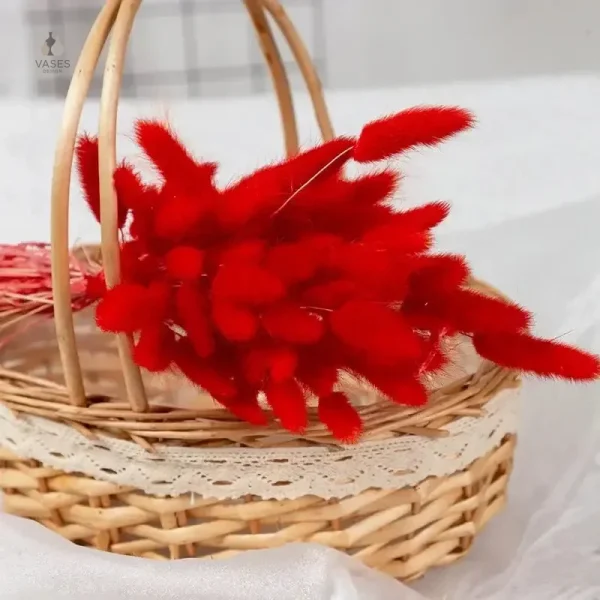 Fleurs séchées à utiliser dans l'art floral