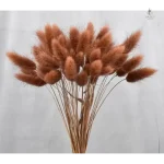 Fleurs séchées pour arrangements créatifs