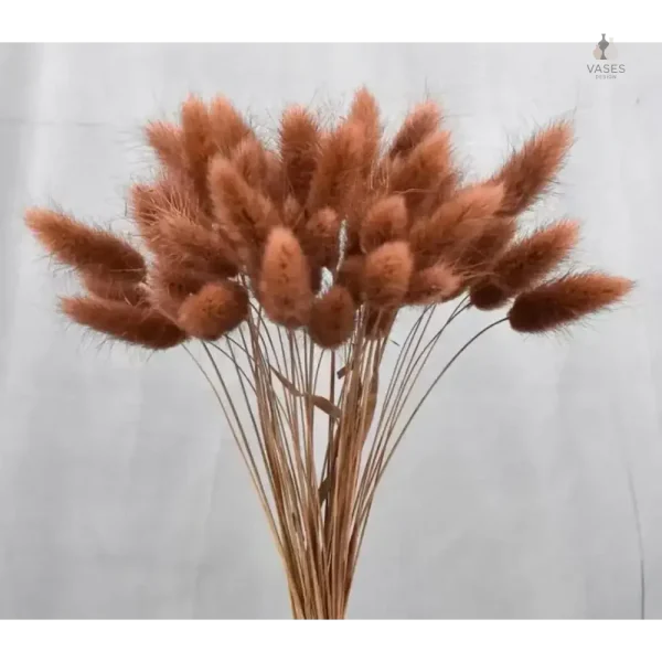 Fleurs séchées pour arrangements créatifs