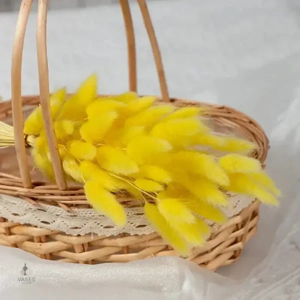 Fleurs séchées comme alternative durable