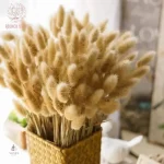 Fleurs séchées pour décoration intérieure