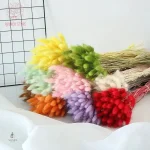 Fleurs séchées colorées et durables