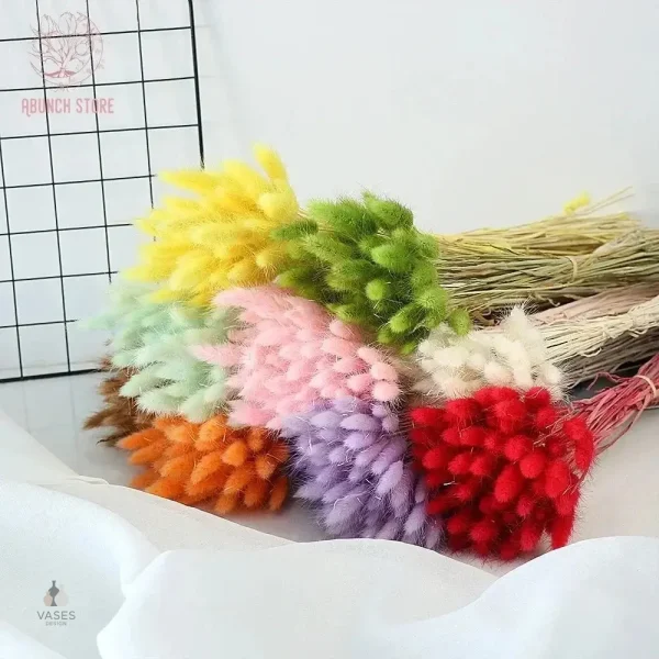 Fleurs séchées colorées et durables