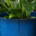 Grand pot de jardin en bleu canard