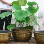 Grand pot de fleur diamètre 80 cm