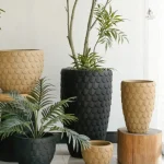 Pot de fleur noir pour décoration intérieure élégante