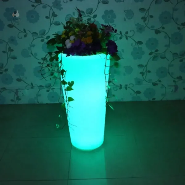 Pot lumineux pour plantes d'intérieur