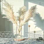 Grande pampa, plante idéale pour créer des espaces verdoyants