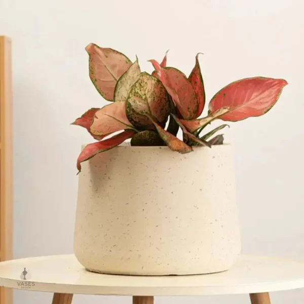 Grand pot beige pour plantes d'intérieur et extérieur