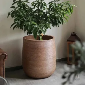 Pot décoratif pour plantes d'intérieur